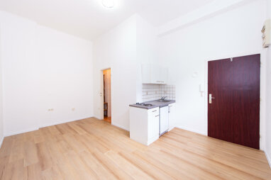 Wohnung zum Kauf 84.900 € 1 Zimmer 20 m² Annenstraße 66 Lend Graz 8020