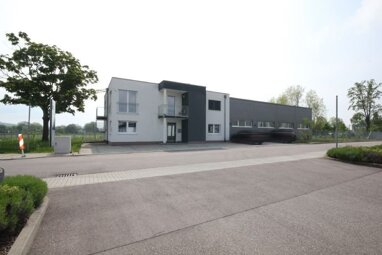 Lagerhalle zum Kauf 1.800.000 € 238 m² Lagerfläche teilbar ab 110 m² Dinglingen - Ost Lahr/Schwarzwald 77933