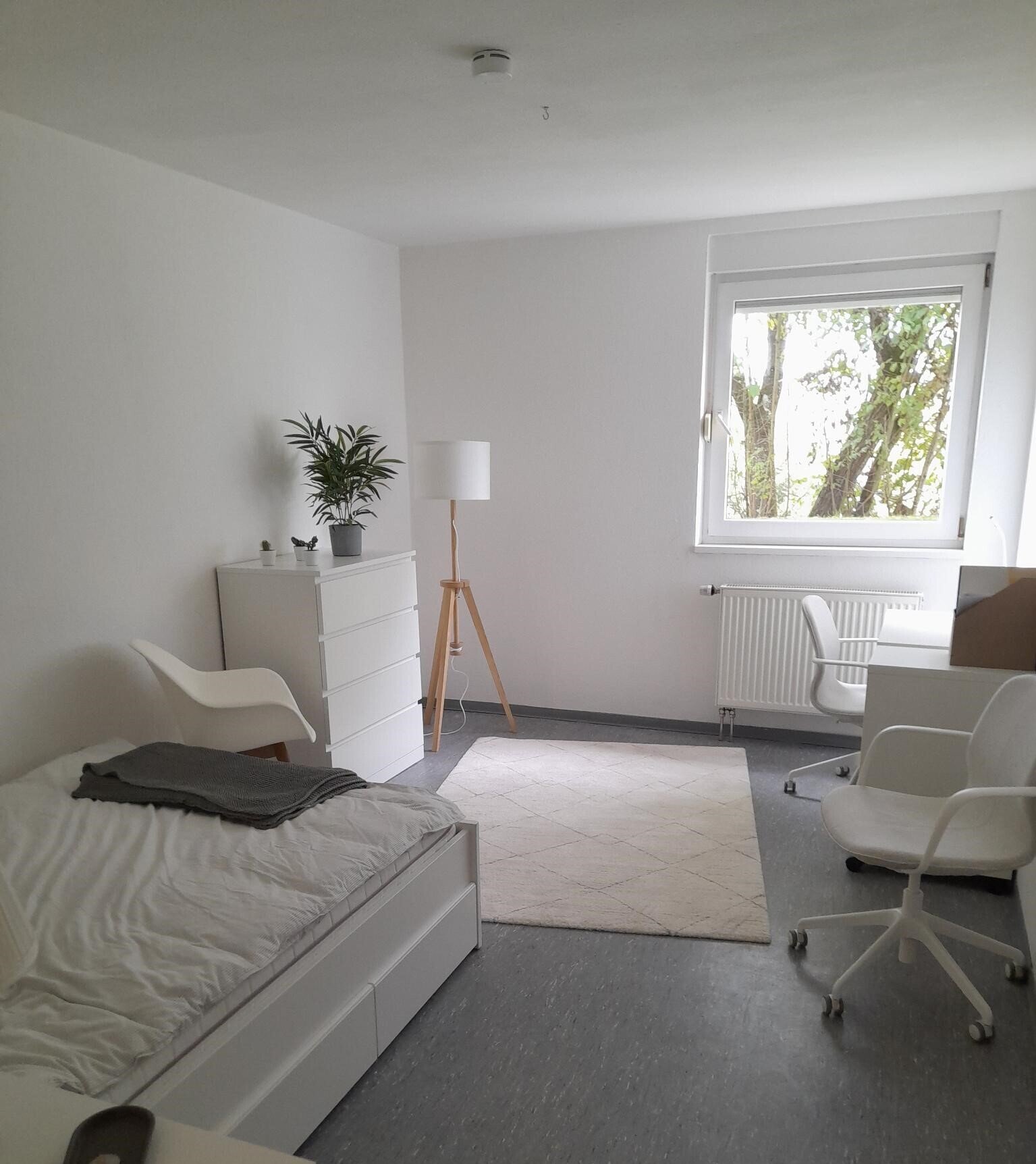 Wohnung zur Miete 295 € 1 Zimmer 24,5 m²<br/>Wohnfläche 3.<br/>Geschoss Neu-Kürenz 2 Trier 54295