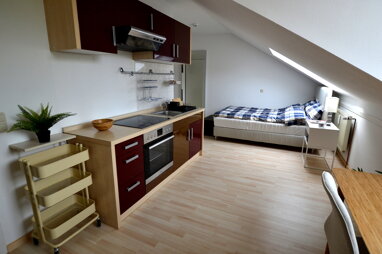 Wohnung zur Miete 480 € 1 Zimmer 24,1 m² 4. Geschoss Prinz-Rupprecht-Straße 8 Burgunderstraße - Napoleonstein Regensburg 93053
