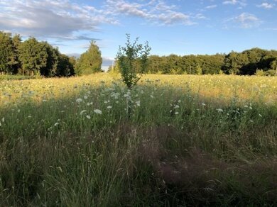 Grundstück zum Kauf Geisberg Bad Griesbach i.Rottal 94086