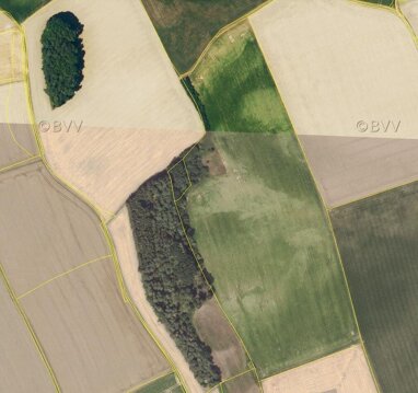 Land-/Forstwirtschaft zum Kauf 843.225 € 56.215 m² Grundstück Hohenkammer Hohenkammer 85411