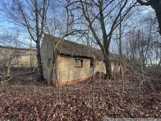 Grundstück zum Kauf 45.000 € 2.560 m² Grundstück Altlommatzsch Lommatzsch 01623