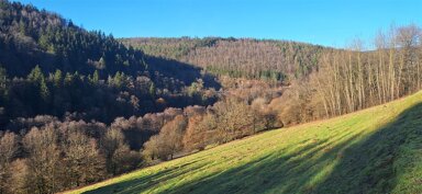 Grundstück zum Kauf 6.000 m² Grundstück Hirtenweg 0 Friedrichsdorf Eberbach , Baden 69412