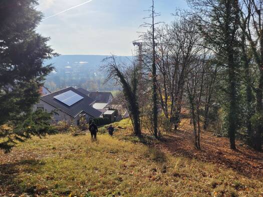 Grundstück zum Kauf provisionsfrei 650 m² Grundstück Ochsenfurt 97199