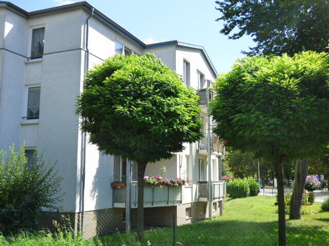 Wohnung zur Miete 440 € 2 Zimmer 58,6 m²<br/>Wohnfläche 2. Stock<br/>Geschoss Breitscheidstraße 1 Cracauer Anger Magdeburg 39114