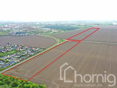 Land-/Forstwirtschaft zum Kauf 149.000 € 107.036 m² Grundstück Reuden a d Fuhne Bitterfeld-Wolfen 06766
