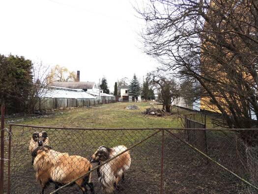 Grundstück zum Kauf 28.000 € 767 m² Grundstück Aken Aken (Elbe) 06385