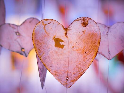 Doppelhaushälfte zum Kauf 549.842 € 5 Zimmer 128 m² 631 m² Grundstück Stadtmitte Herten 45699