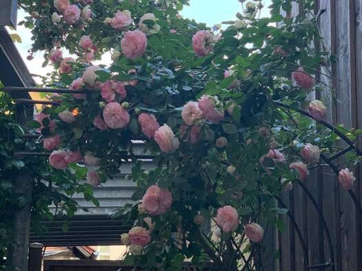 Wohnung zur Miete 1.350 € 4 Zimmer 98 m² Geschoss EG/4 frei ab 01.02.2026 Stadtmitte Esslingen am Neckar 73728