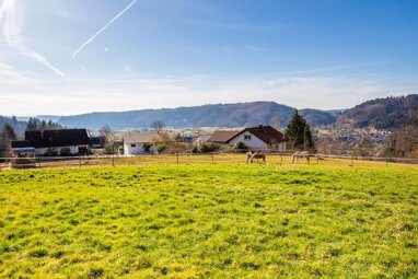Grundstück zum Kauf 775.000 € 3.945 m² Grundstück Raitbach Schopfheim 79650