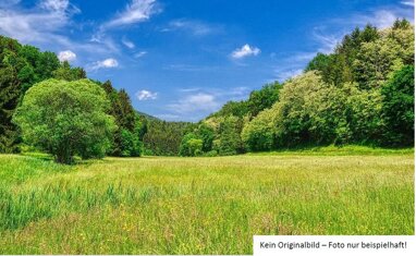 Land-/Forstwirtschaft zum Kauf 13.283 m² Grundstück Oberhaid Oberhaid 96173