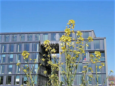 Bürofläche zur Miete Provisionsfrei 14,50 € 305,6 m² Bürofläche Bahrenfeld Hamburg 22761