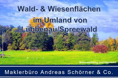 Forstwirtschaft zum Kauf 93.800 m² Grundstück Lübbenau Lübbenau/Spreewald 03222