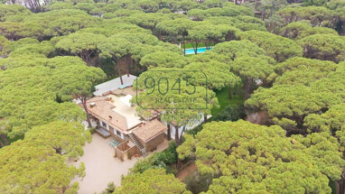Villa zum Kauf 8.000.000 € 11 Zimmer 450 m² 6.000 m² Grundstück Castiglione Della Pescaia 58043
