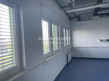 Büro-/Praxisfläche zur Miete 19 € 275 m² Bürofläche teilbar ab 275 m² Adlershof Berlin 12489