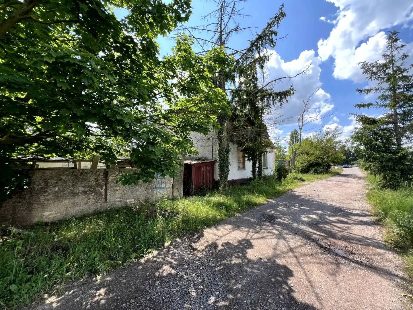 Immobilie in Kabelsketal - Einfamilienhaus am Ortsrand von Dieskau inkl. ca. 600 m² Grundstück - Bild 3