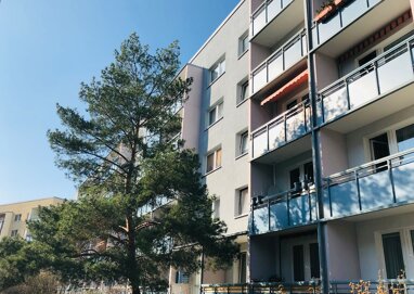 Wohnung zur Miete 276 € 2 Zimmer 50,8 m² 3. Geschoss Salzburger Straße 11 Südstadt Halle (Saale) 06128