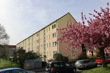 Wohnung zur Miete 529 € 3 Zimmer 62 m² Erdgeschoss Straße des Friedens Torgau Torgau 04860