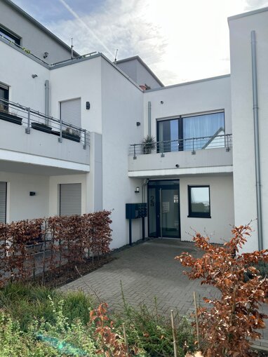 Wohnung zur Miete 850 € 2 Zimmer 65 m² Erdgeschoss Niederpleis Sankt Augustin 53757