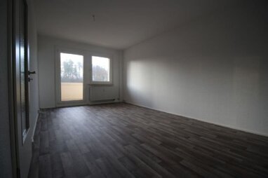 Wohnung zur Miete 250,88 € 2 Zimmer 46,5 m² 3. Geschoss Friedensstraße 15 Mehltheuer Rosenbach/Vogtland 08539