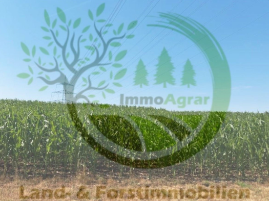 Land-/Forstwirtschaft zum Kauf 99.900 € 37.348 m² 37.348 m² Grundstück Gersdorf Nennslingen 91790