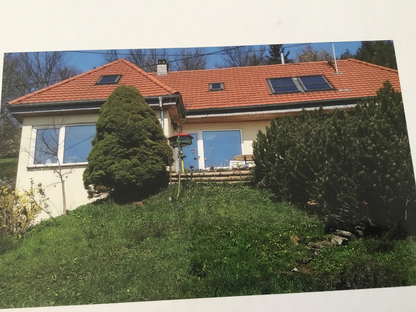 Einfamilienhaus zum Kauf Provisionsfrei 330.000 € 8 Zimmer 240 m²<br/>Wohnfläche 8.000 m²<br/>Grundstück Offenbach-Hundheim 67749