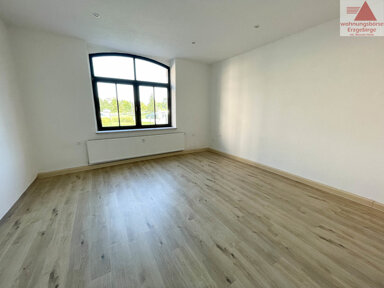 Wohnung zur Miete 450 € 3 Zimmer 74 m² EG frei ab sofort Wettinerstraße 47 Aue 08280