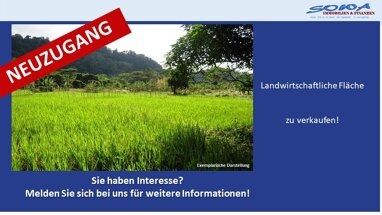 Land-/Forstwirtschaft zum Kauf 47.000 € 3.480 m² Grundstück Syrgenstein Syrgenstein 89428