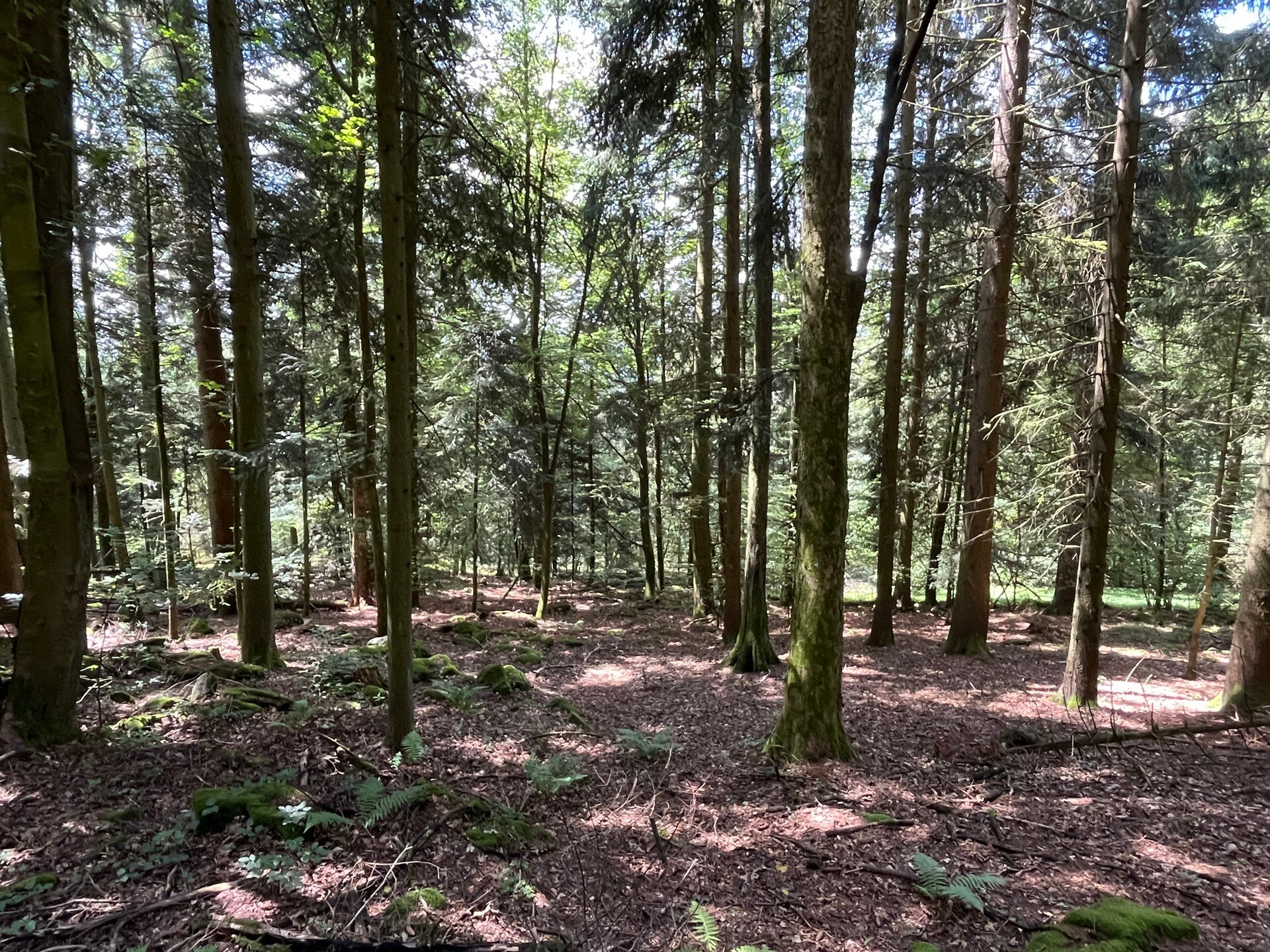 Land-/Forstwirtschaft zum Kauf 75.000 € 20.620 m²<br/>Grundstück Haibach Haibach 94353