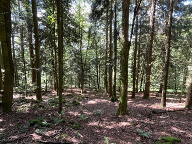 Land-/Forstwirtschaft zum Kauf 75.000 € 20.620 m² Grundstück Haibach Haibach 94353