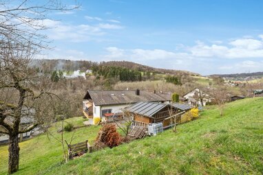 Mehrfamilienhaus zum Kauf 640.000 € 10 Zimmer 259 m² 1.734 m² Grundstück Eschbach Waldshut-Tiengen / Eschbach 79761