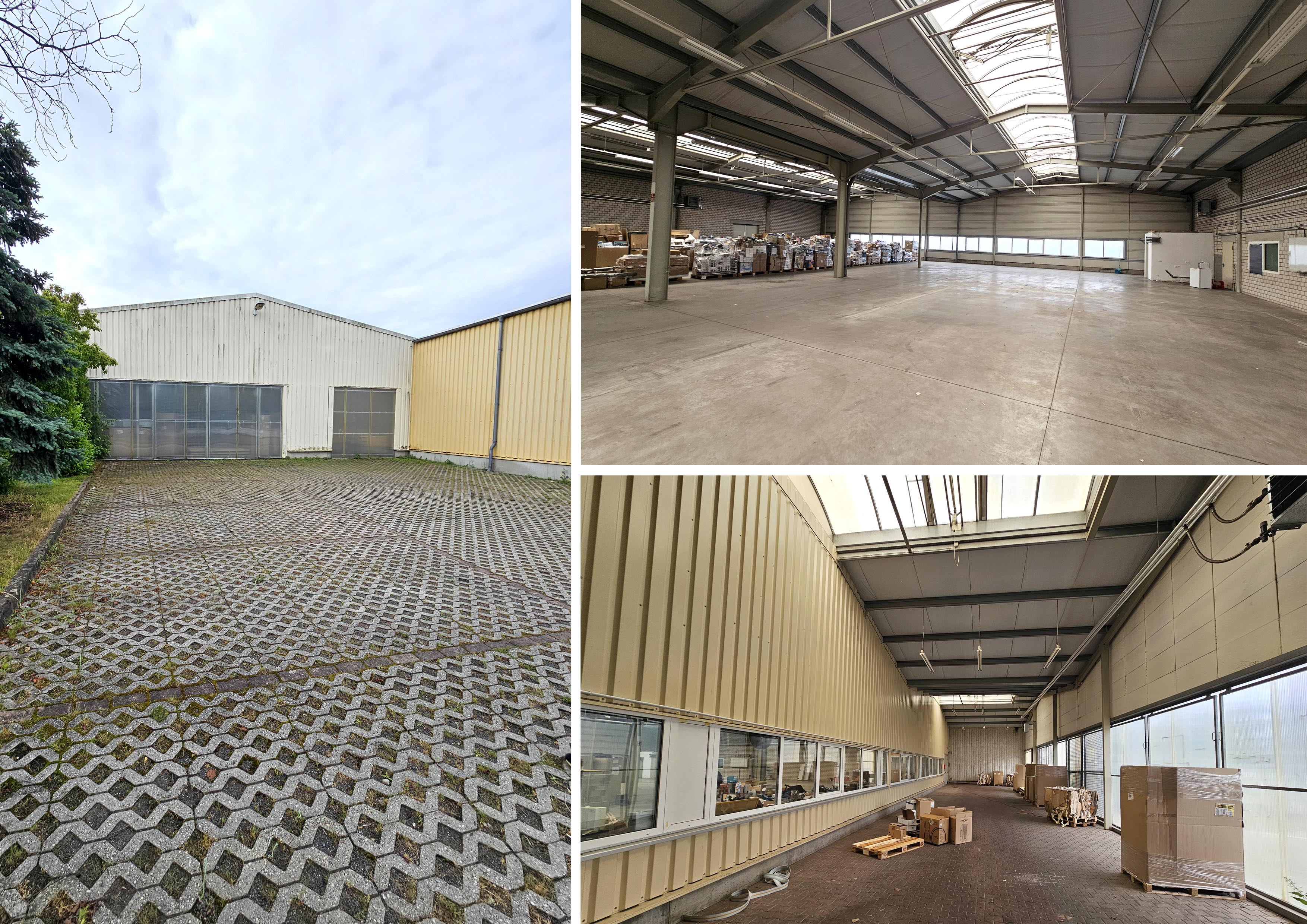 Lagerhalle zur Miete 6.435 € 1.170 m²<br/>Lagerfläche Wachau Markkleeberg 04416