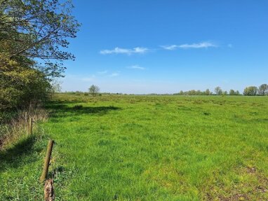 Land-/Forstwirtschaft zum Kauf 62.000 € 38.805 m² Grundstück Dellstedt 25786