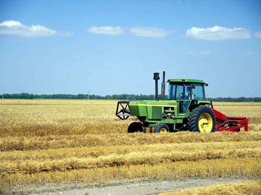 Landwirtschaftliche Fläche zum Kauf 24.541 m² Grundstück Zusmarshausen 86441