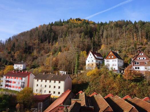 Maisonette zur Miete 950 € 5 Zimmer 123 m² 5 Geschosse frei ab sofort Berneckstraße 93 Schramberg 78713