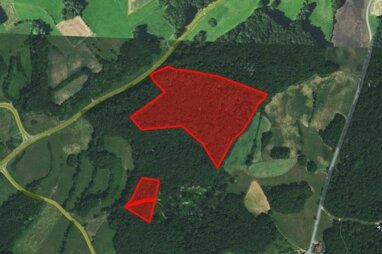 Forstwirtschaft zum Kauf 2,80 € 51.190 m² 51.190 m² Grundstück Mostviel Egloffstein 91349