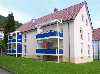 Wohnung zur Miete 715,06 € 3 Zimmer 77,6 m² 1. Geschoss Steigestr. 67 Eberbach Eberbach 69412