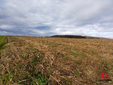 Landwirtschaftliche Fläche zum Kauf 89.307 € Mindelheim Mindelheim / Unterauerbach 87719