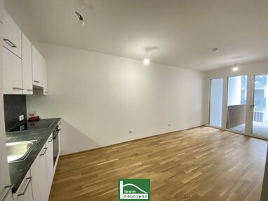 Wohnung zur Miete 635,73 € 2 Zimmer 41,2 m² 2. Geschoss frei ab 01.09.2024 Bertha-von-Suttner-Gasse 10a-12a Wien 1220