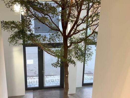 Praxis zur Miete 16,50 € 804 m² Bürofläche Wangen 88239