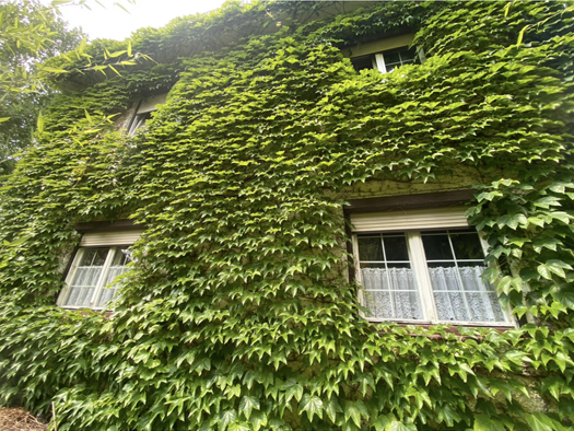 Grundstück zum Kauf provisionsfrei 1.400.000 € 724 m² Grundstück Traunstein 83278