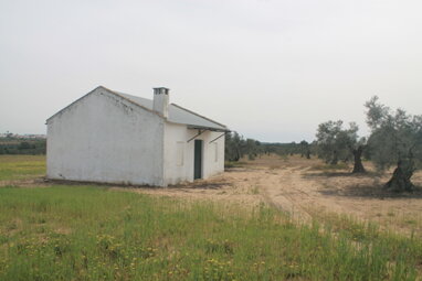 Bauernhaus zum Kauf Provisionsfrei 163.000 € 2 Zimmer 120 m² 100.000 m² Grundstück Rociana del Condado 21720