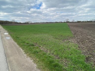 Landwirtschaftliche Fläche zum Kauf 200.800 € 8.032 m² Grundstück Ismaning Ismaning 85737