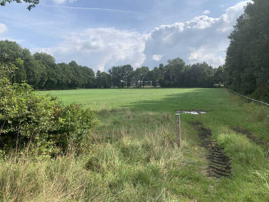 Land-/Forstwirtschaft zum Kauf 29.500 € 7.297 m² Grundstück Niedermehnen Stemwede - Niedermehnen 32351