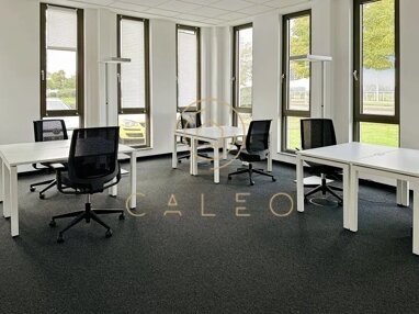 Bürokomplex zur Miete Provisionsfrei 100 m² Bürofläche teilbar ab 1 m² Sandberg Monheim am Rhein 40789