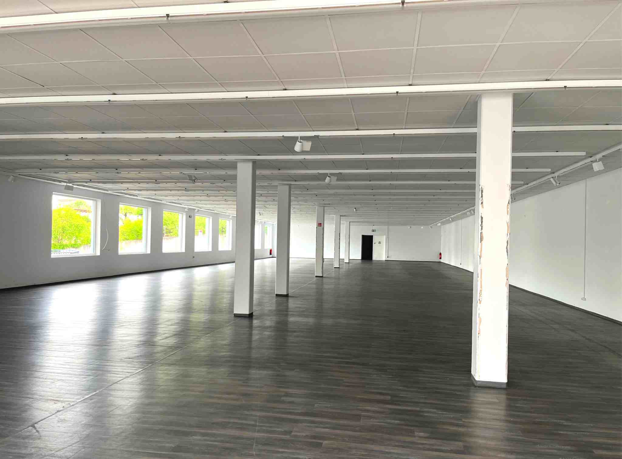 Verkaufsfläche zum Kauf 830 m² Verkaufsfläche Spaichingen 78549