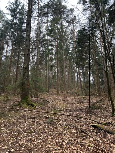 Forstwirtschaft zum Kauf 99.900 € 24.630 m² Grundstück Stegmühle Falkenfels 94350