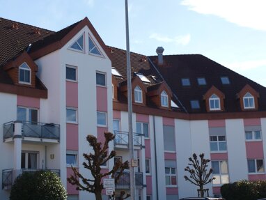Apartment zum Kauf 119.000 € 1 Zimmer 32 m² Erdgeschoss Pingsdorf Brühl 50321