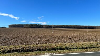 Landwirtschaftliche Fläche zum Kauf 279.950 m² Grundstück Oberwart 7400